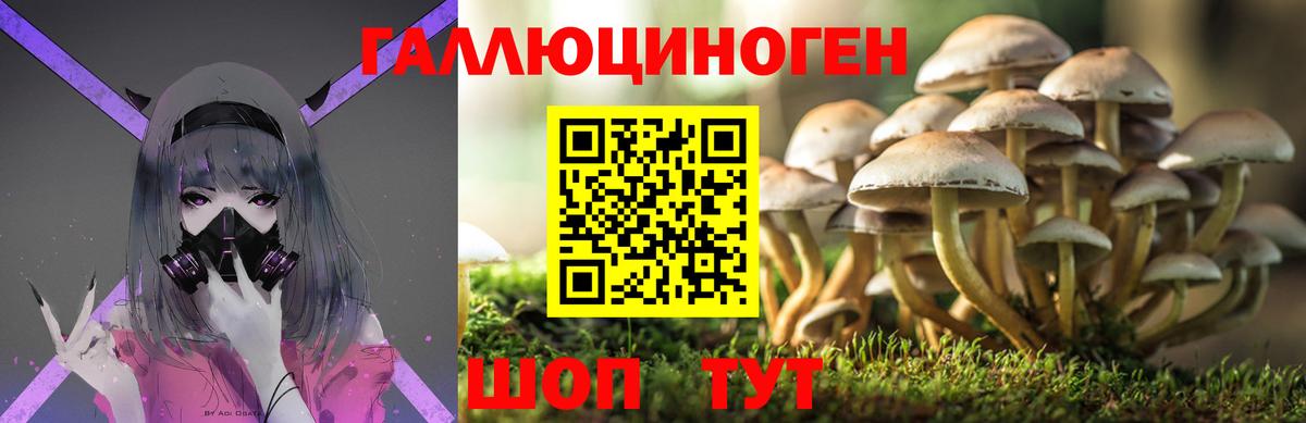 Галлюциногенные грибы Magic Shrooms  Вход с VPN  Королёв 