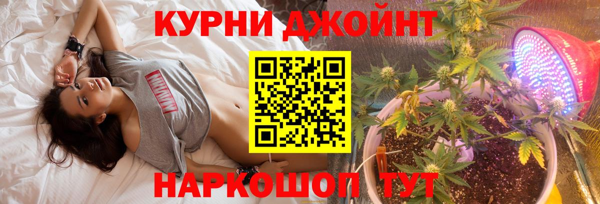 Канабис конопля Королёв