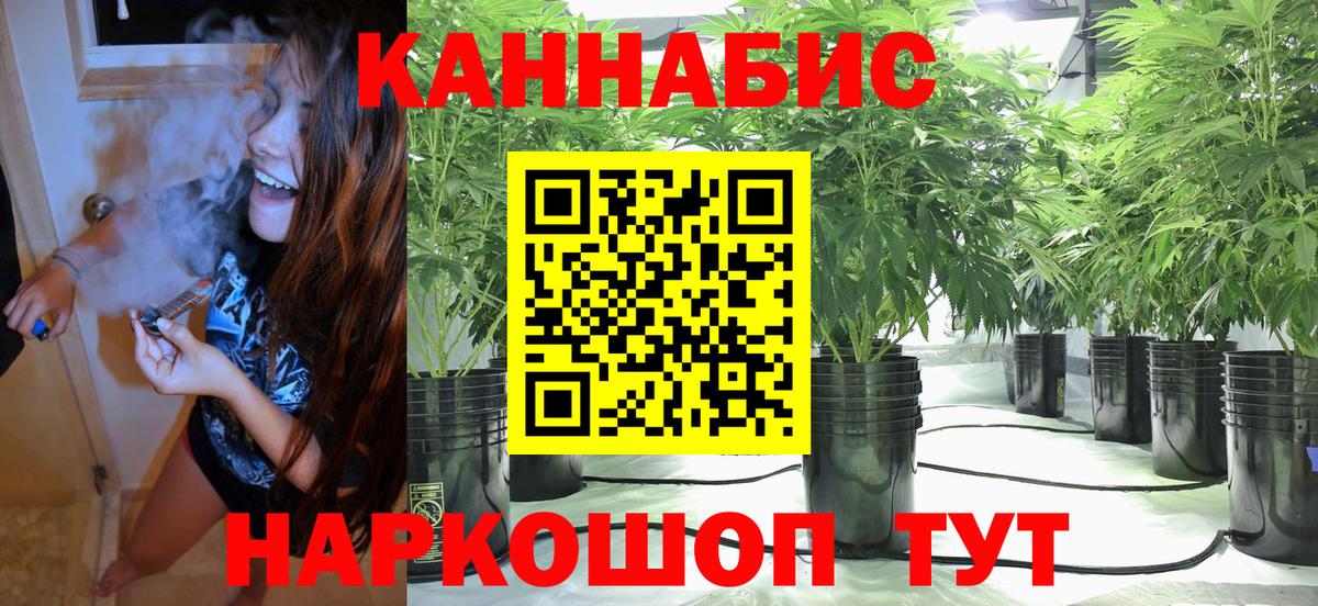 Каннабис ГИДРОПОН  Вход с VPN  Бошки Шишки семена  Королёв  Конопля сатива 